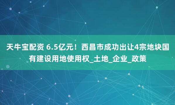 天牛宝配资 6.5亿元！西昌市成功出让4宗地块国有建设用地使用权_土地_企业_政策