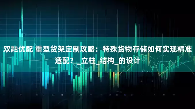双融优配 重型货架定制攻略：特殊货物存储如何实现精准适配？_立柱_结构_的设计