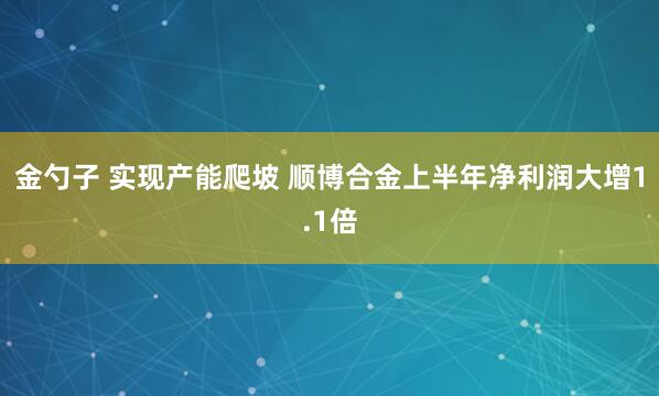 金勺子 实现产能爬坡 顺博合金上半年净利润大增1.1倍
