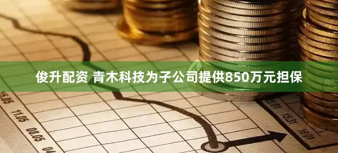 俊升配资 青木科技为子公司提供850万元担保