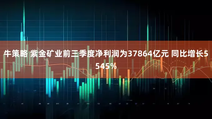 牛策略 紫金矿业前三季度净利润为37864亿元 同比增长5545%